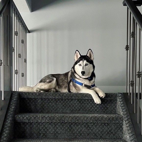 Meet your Posher, Michelle - Picture 2 of 4